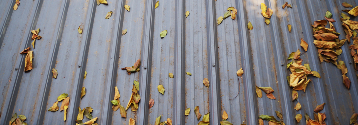 Why Your Business Needs Professional Fall Roof Maintenance