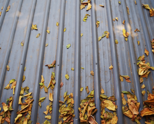 Why Your Business Needs Professional Fall Roof Maintenance