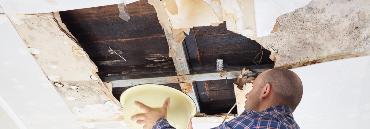 Person on ladder holding bucket under part of roof with water leak