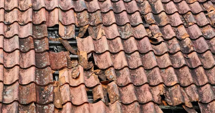 Forensic Roof Inspections